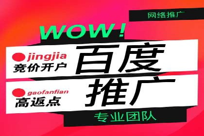 某电商平台的SEM推广实践与效果展示